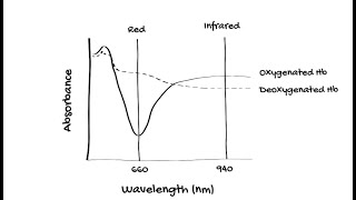 How does Pulse Oximetry work [upl. by Karola]