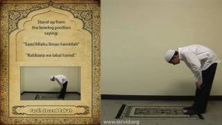 How to Pray  Asr Afternoon Pray  Fardh [upl. by Yrtneg388]