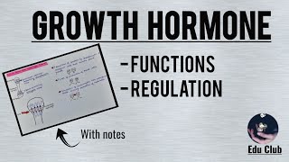 Growth Hormone  Functions  Regulation  Somatomedins  Endocrine Physiology [upl. by Analah723]