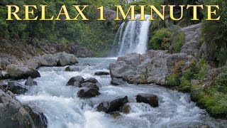 Relax 1 min  Waterfall  Relaxing Nature Sounds [upl. by Esorlatsyrc]