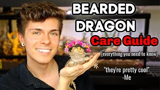 Bearded Dragon Care Guide EVERYTHING you need to know [upl. by Camile38]