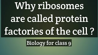 Why ribosomes are called protein factories of the cell [upl. by Lsil]