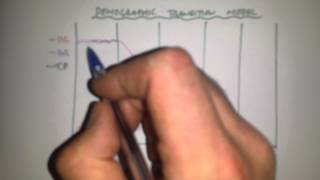 The Demographic Transition Model [upl. by Leban]