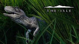 The Baby Utahraptor  The Isle [upl. by Nirrej871]