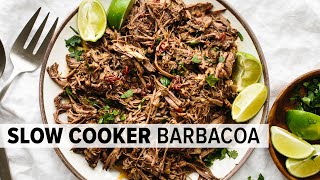 EASY BARBACOA RECIPE  perfect for tacos burritos bowls and salads [upl. by Notserp104]