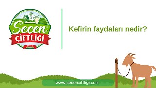 Kefirin faydaları nelerdir [upl. by Haraj]