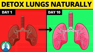 5 Ways to Detox and Cleanse Your Lungs Naturally [upl. by Navlys]