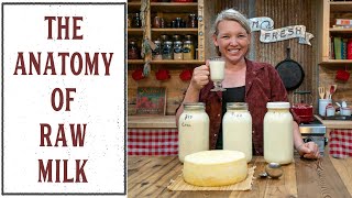 WHAT TO DO WITH RAW MILK ONCE ITS IN YOUR KITCHEN [upl. by Herbie]