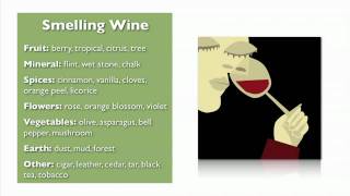 Wine Basics from My Wine Smarts [upl. by Jacobsohn723]