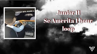 Se Amerita Junior H 1 hour loopno ads [upl. by Emaj338]