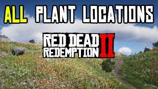 Red Dead Redemption 2  ALL 43 PLANTS amp HERBS LOCATIONS [upl. by Keviv695]