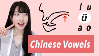 Master Chinese Vowels  quoti u ü a oquot  Pronunciation Training [upl. by Gunzburg903]