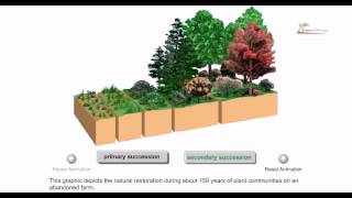 Ecological succession [upl. by Orlene]