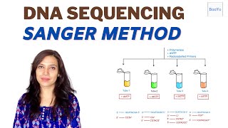 Dideoxy DNA Sequencing  Sanger method [upl. by Latsyrhk]