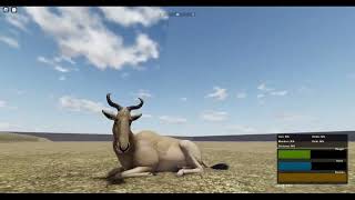 New VS Old Hartebeest Animations  Roblox Wild Savannah Recode [upl. by Sukey894]