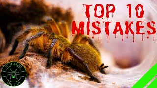 TOP 10 Mistakes Keeping Tarantulas amp Spiders  DONT DO THIS [upl. by Schlesinger]