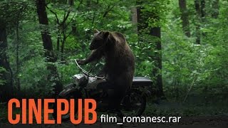 URSUL  Film Romanesc comedie  CINEPUB [upl. by Golter410]