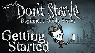 Dont Starve Hamlet Guide The BFB [upl. by Andrews]