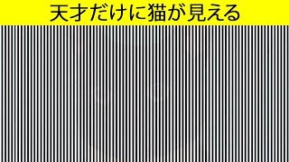 君の脳を始動させる楽しい目の錯覚特集 [upl. by Atirehc889]