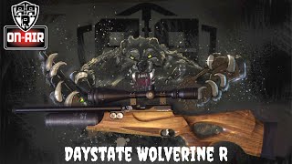 Daystate Wolverine R Review [upl. by Omrellug336]