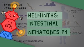 Helminths Intestinal Nematodes Part 1 features clinical importance diagnosis treatment [upl. by Eceinwahs]