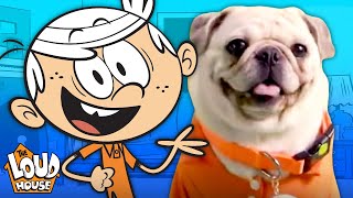 The Pugs amp Louds Team Up for an Opening Theme Song 🎵  The Loud House [upl. by Saxe]