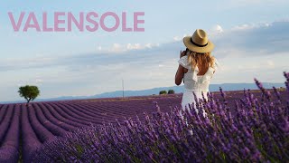 Lavender Fields of Valensole Provence France [upl. by Shane630]