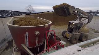 Mixing Feed for Dairy Cows [upl. by Annyrb957]