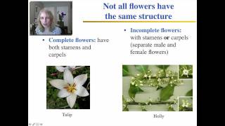 Plant Reproduction and Development  Part1 [upl. by Bellaude]