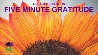 5 Minute Guided Meditation for Gratitude  Mindful Movement [upl. by Tera]