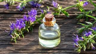 Hyssop Benefits Uses amp Side Effects [upl. by Niarb]