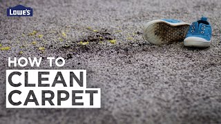 How to Clean Carpet [upl. by Ilesara]