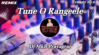 Tune O Rangeele  Hindi Remix  fadudropmix Dj MkB Allahabad [upl. by Powell]