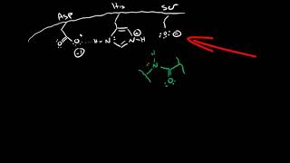 Serine Protease Mechanism [upl. by Destinee208]