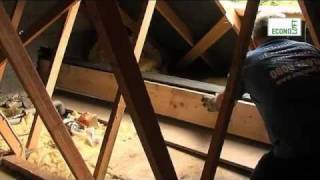 Single Velux Loft Conversion [upl. by Nnad]