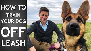 Off Leash Training How to Train Your Dog To Listen Off Leash [upl. by Ynahteb]