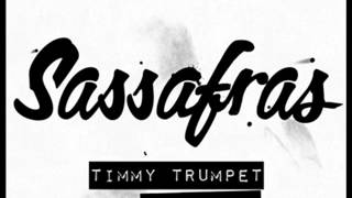 Timmy Trumpet amp Chardy  Sassafras [upl. by Fregger805]