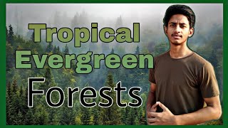 Tropical Evergreen forests explained in hindi  forest in hindi [upl. by Suhploda]