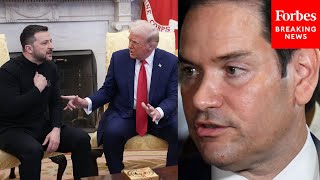 You Dont See All The Things That Led Up To This Rubio Defends Trump After Clash With Zelensky [upl. by Moncear676]