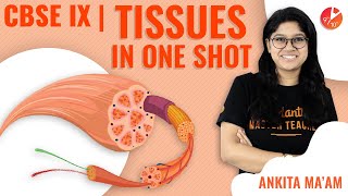 Tissues in OneShot  CBSE Class 9 Biology  Science Chapter 6  Tissues Crash Course NCERT Vedantu [upl. by Bonnell]