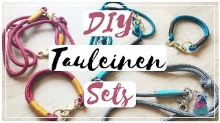 DIY TAULEINE  TAUHALSBAND für den HUND  frauchensliebling [upl. by Amil]