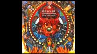 Full Album Praxis  Transmutation [upl. by Ecyarg]