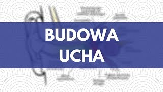 Budowa ucha  Atlas przyrodniczy Akademii Białego Fartucha [upl. by Ardiedak]