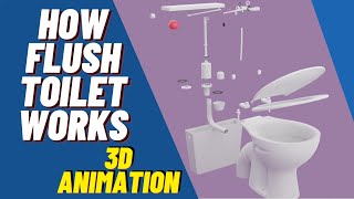 How Flush Toilet Works  3D Animation  Siphon [upl. by Meadow791]