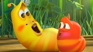 LARVA  LARVA BEBÉS  2018 Película Completa  Dibujos animados para niños  WildBrain [upl. by Aiciles]