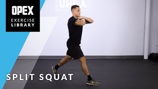 Split Squat [upl. by Irat]