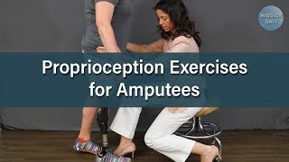 Balance Exercises for Amputees Proprioception [upl. by Fredel]