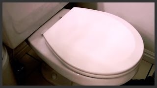 How to replace a toilet seat [upl. by Jana]