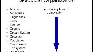 Biology 1010 Lecture 1 Intro to Biology [upl. by Nodnol]