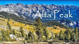 Alta Peak [upl. by Alimak553]